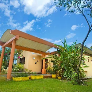 Anacahuita, Limonal República Dominicana