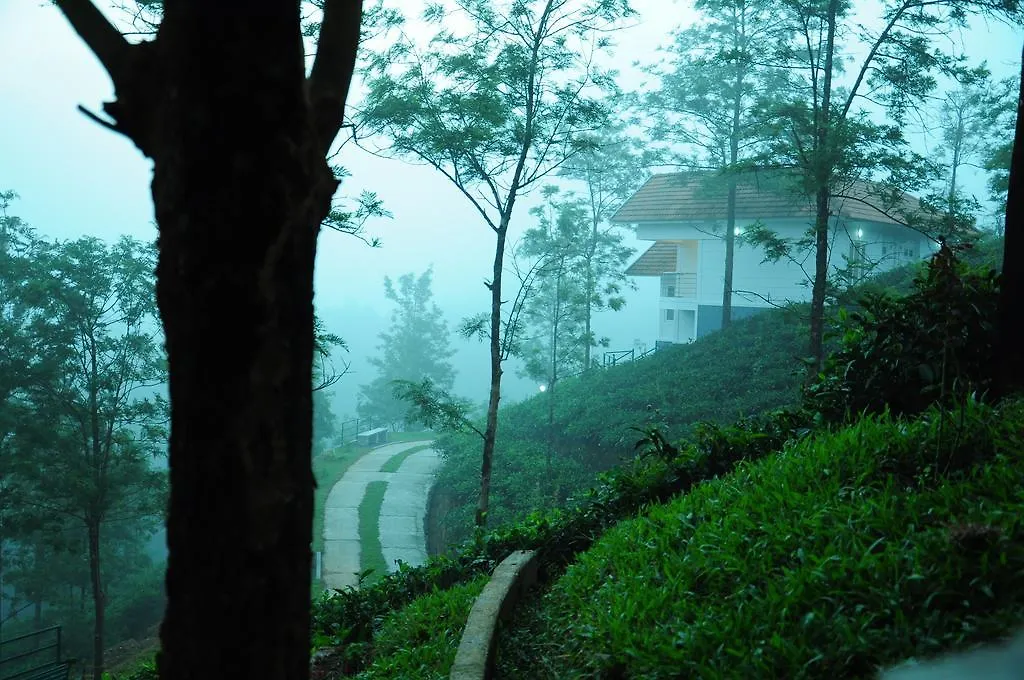 Falcon Crest Vagamon